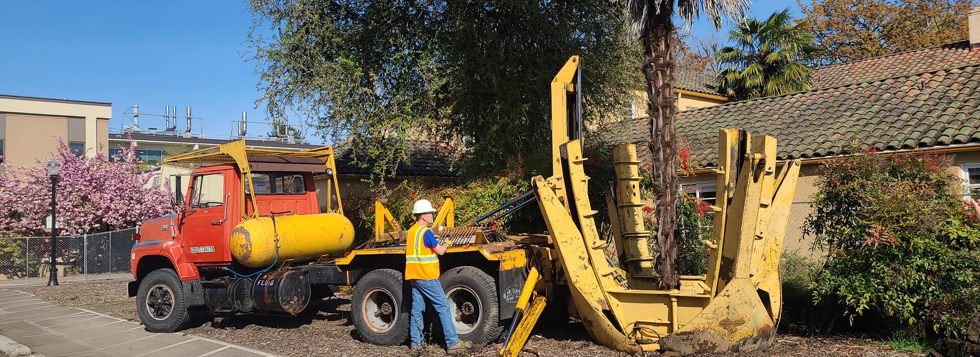 A machine pulling a palm tree out of the ground. 